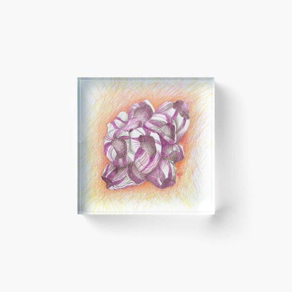 Item preview, seashell. conchas designed and sold by Tereza Pilar  Art.