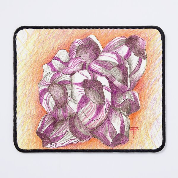 Item preview, concha. concha designed and sold by Tereza Pilar Art.
