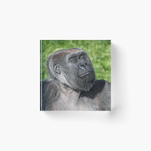 Item preview, That Knowing Look ... designed and sold by HollieGPhotos.