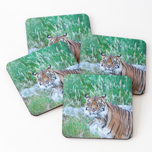 Item preview, Alert Tiger designed and sold by RASPhotoGallery.