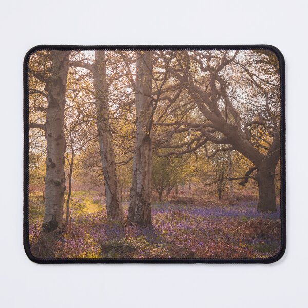 Item preview, Bluebell Woodland at Sunset designed and sold by Chris Baitson.
