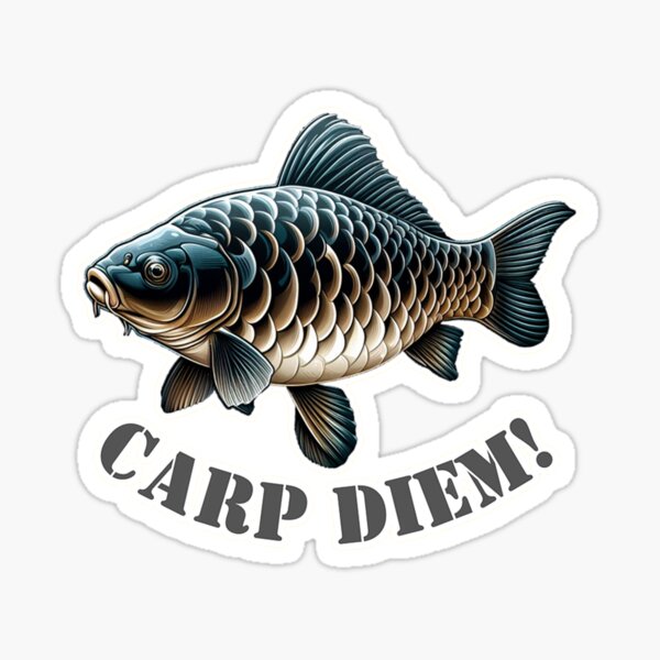 Carp Fishing Funny Stickers for Sale, Free US Shipping