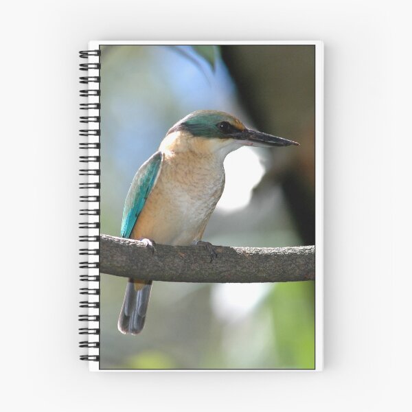 Aperçu de l'œuvre Kingfisher créée et vendue par Ray Fowler.