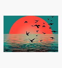 Sunset in Aberdeen Photographic Print