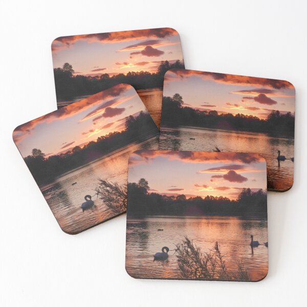 Item preview, Swans in the sunset designed and sold by RosRidleyPhoto.