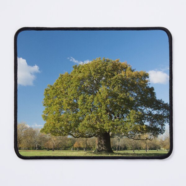 Item preview, The Mighty Oak designed and sold by Kasia Design.