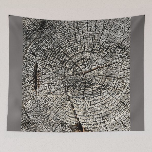 Item preview, Tree Trunk Cross Section Details designed and sold by Duane  Gamble (Creative Photo Products).