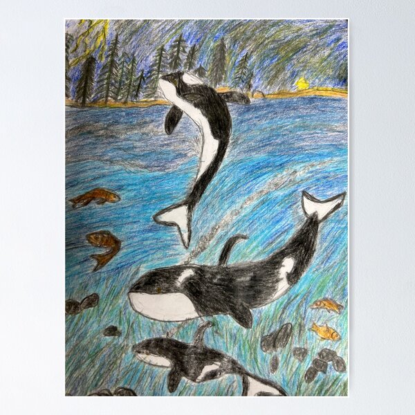 Original Valentin “ORCAS” Killer shops Whale Drawing, Whale Art, Orca Illustration, Orca Art, Color Pencil Drawing