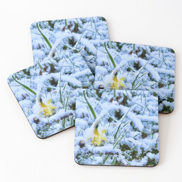 Item preview, Daffodil in the snow designed and sold by SnapsBySara.