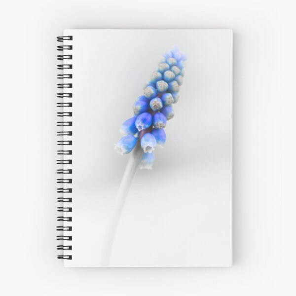 Item preview, Muscari Armeniacum designed and sold by JEZ22.