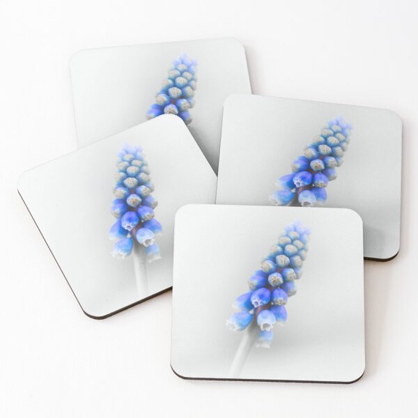Item preview, Muscari Armeniacum designed and sold by JEZ22.