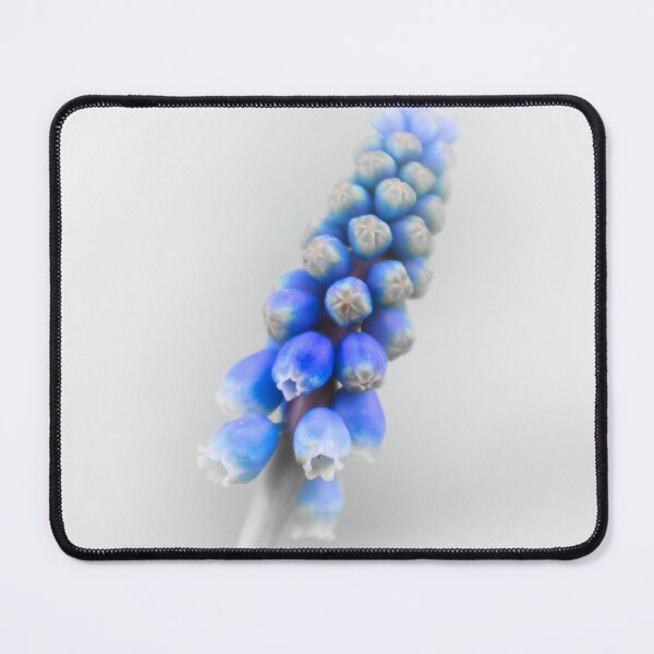 Item preview, Muscari Armeniacum designed and sold by JEZ22.