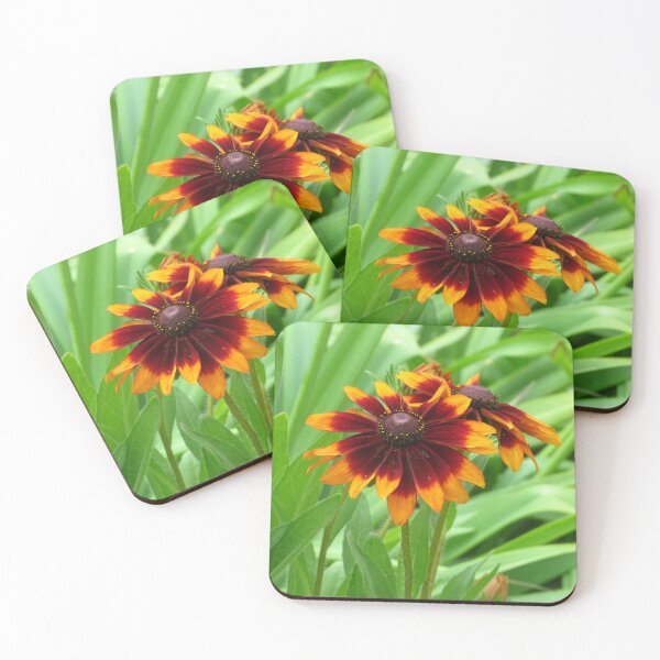 Item preview, Gloriosa Daisies - Black Eyed Susan Flowers designed and sold by SnapsBySara.