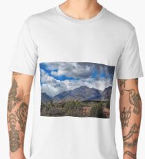 Arizona Landscape Men's Premium T-Shirt