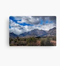 Arizona Landscape Metal Print