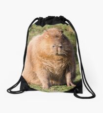 Capybara stare Drawstring Bag