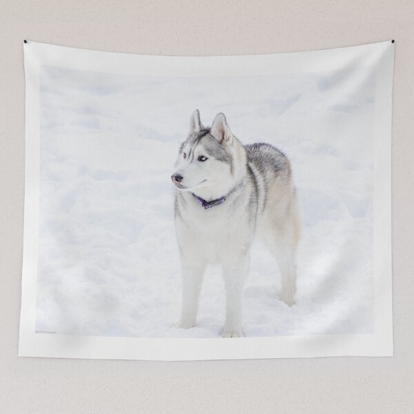 Item preview, Siberian Husky in the Snow designed and sold by May Finch.