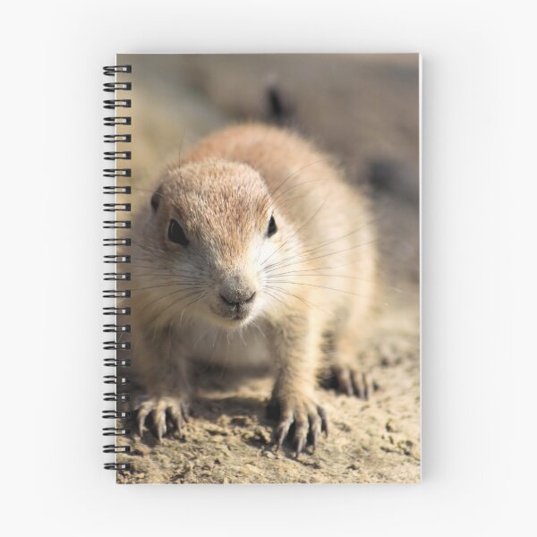 Item preview, Prairie Dog designed and sold by Jo Nijenhuis.
