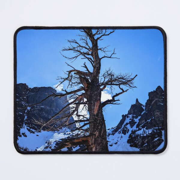 Item preview, Old Tree in the Rockies designed and sold by Cullen Curnow.