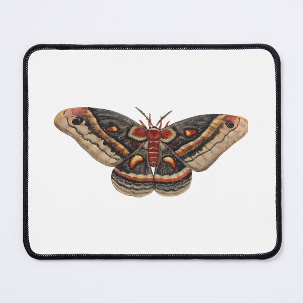 Item preview, Moth designed and sold by Hannah Jakob.