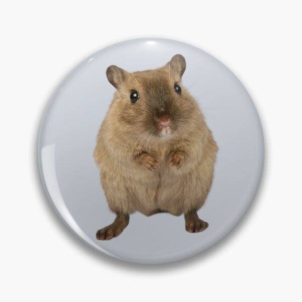 Item preview, Cute Hamster designed and sold by RainbowSpinkle.