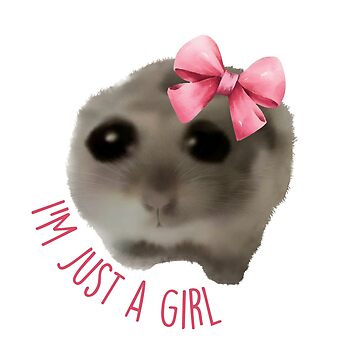 "Sad Hamster - I'm Just a Girl - viral meme" Sticker for Sale by