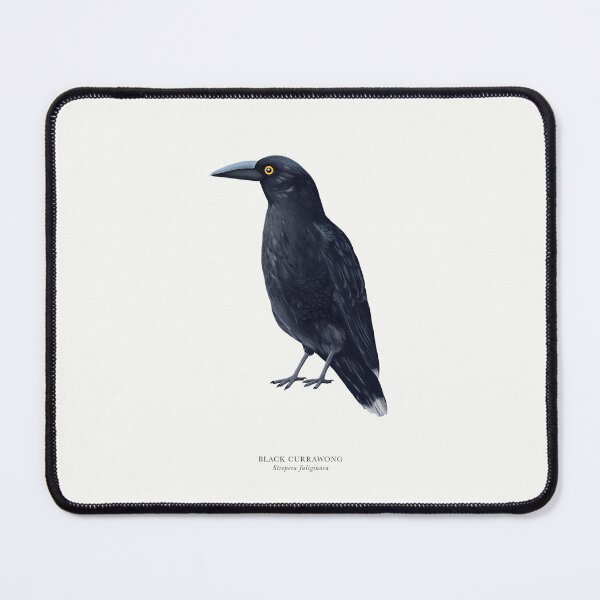 Item preview, Black Currawong designed and sold by samlyneill.