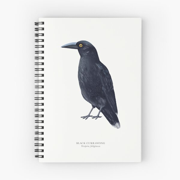 Item preview, Black Currawong designed and sold by samlyneill.