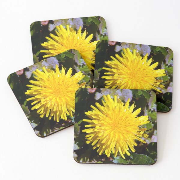 Item preview, Mature Dandelion Bloom designed and sold by gistinker.