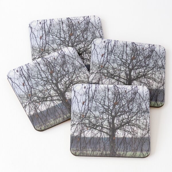 Item preview, Leafless Tree And Branches designed and sold by Designsbygroovy.