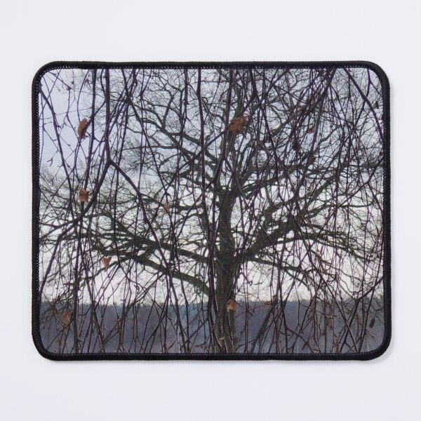 Item preview, Leafless Tree And Branches designed and sold by Designsbygroovy.