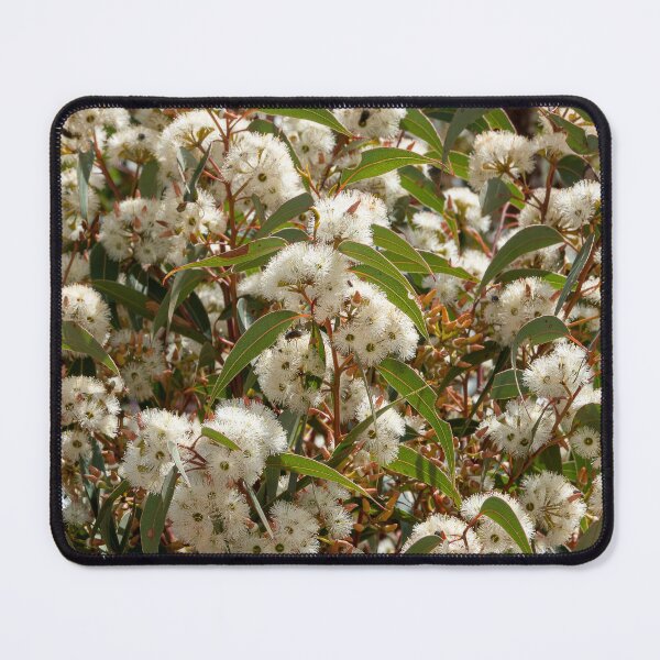 Item preview, Jarrah Blossom Spectacle designed and sold by SallyB.Photography.