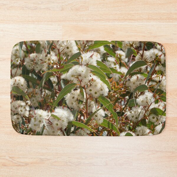 Item preview, Jarrah Blossom Spectacle designed and sold by SallyB.Photography.