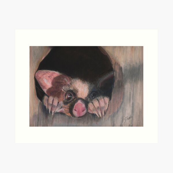 Item preview, "Possum Magic" Original artwork by Vivian Evans  designed and sold by Vivian Evans.
