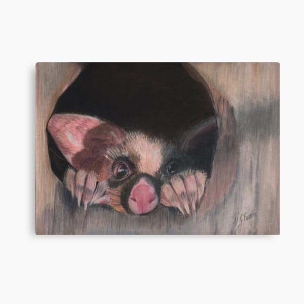 Item preview, "Possum Magic" Original artwork by Vivian Evans  designed and sold by Vivian Evans.