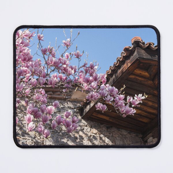 Item preview, Blooming Pink Magnolia and Traditional Stone Building designed and sold by Georgia Mizuleva.