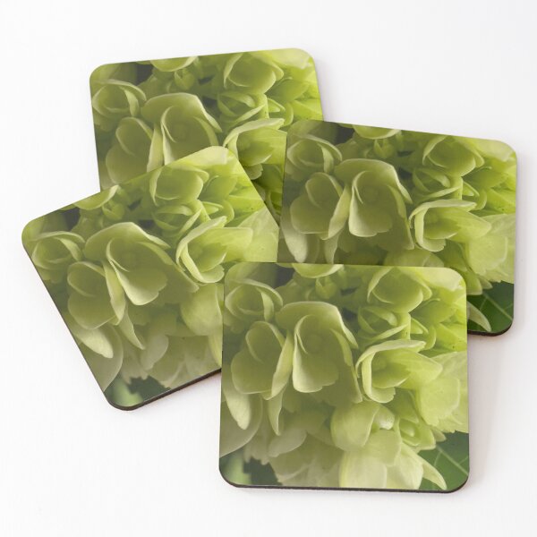 Item preview, Hydrangea/ Penny Mac flowers designed and sold by Betsy Phillips.