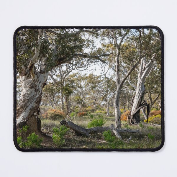 Item preview, Wandoo Woodland designed and sold by SallyB.Photography.
