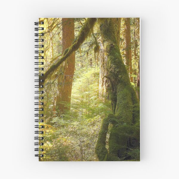 Item preview, SUN IN THE RAINFOREST designed and sold by Elaine Bawden.