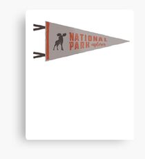 National Park Explorer Metal Print