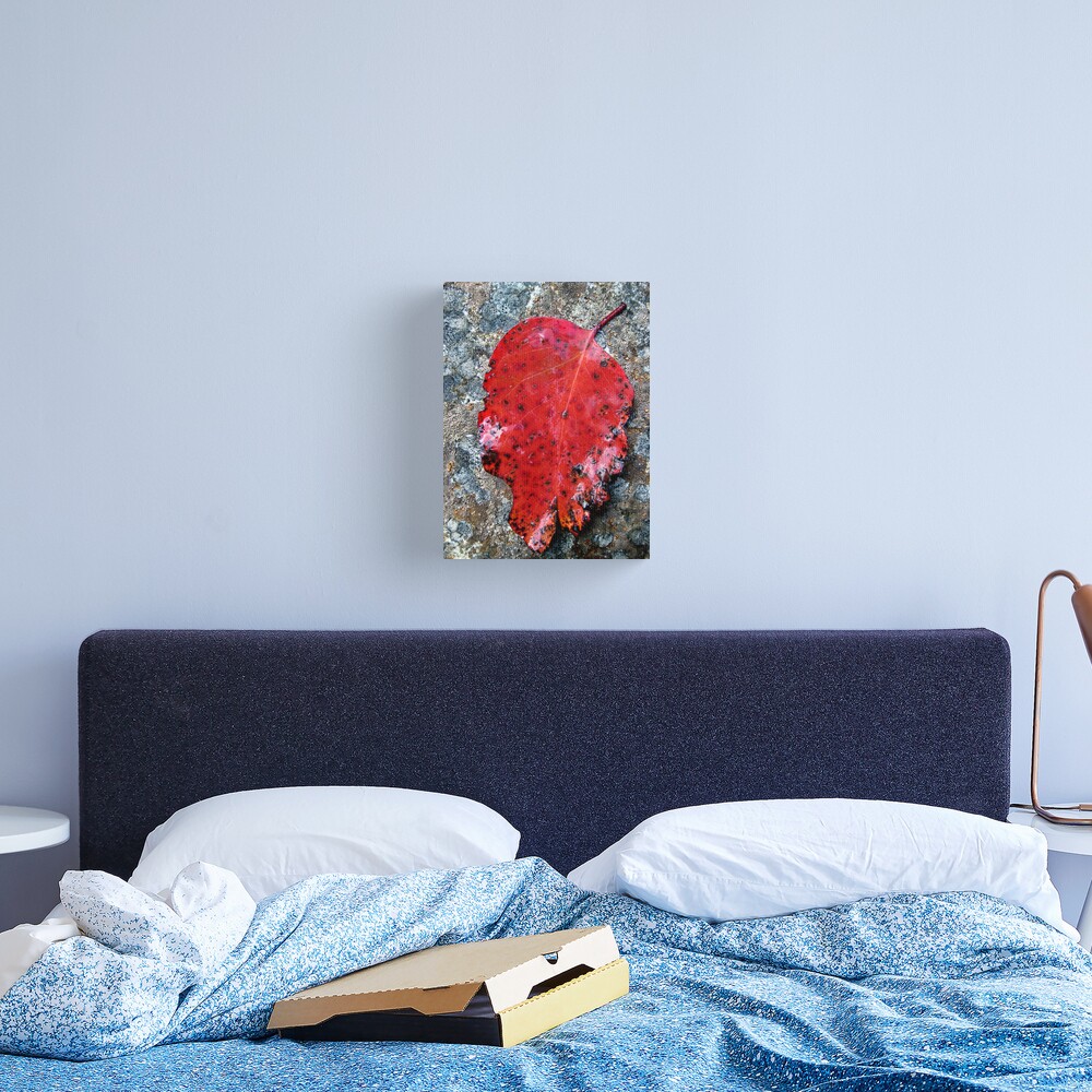 River Gum Canvas Print