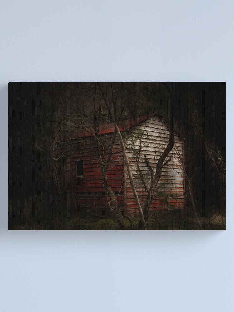 Alternate view of Deep Forest Canvas Print