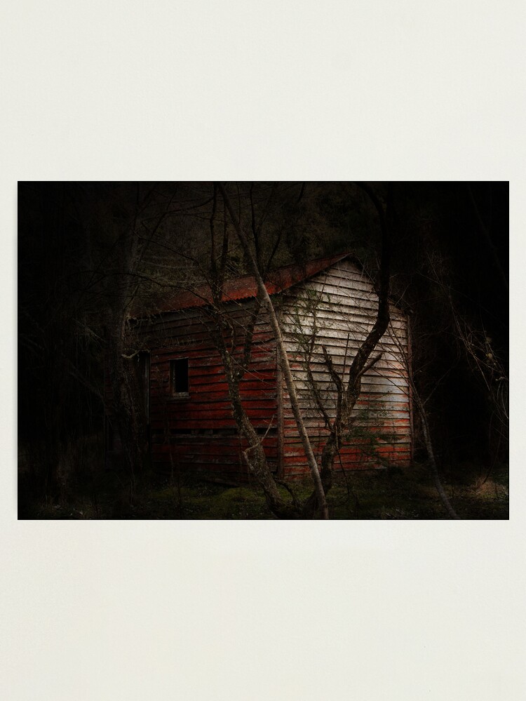 Alternate view of Deep Forest Photographic Print