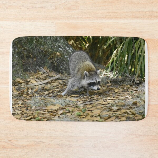 Item preview, Unedited Raccoon Picture designed and sold by MercerImages.