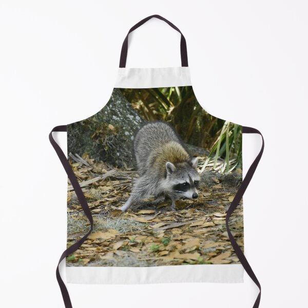 Item preview, Unedited Raccoon Picture designed and sold by MercerImages.