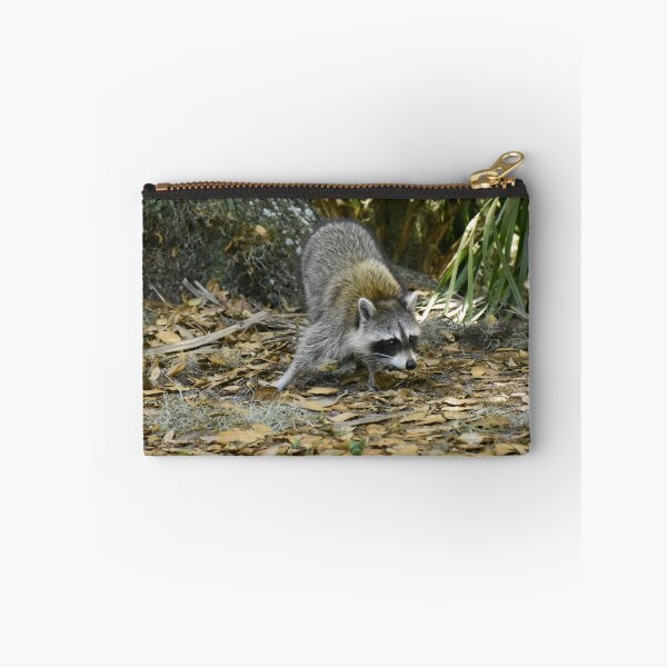 Item preview, Unedited Raccoon Picture designed and sold by MercerImages.