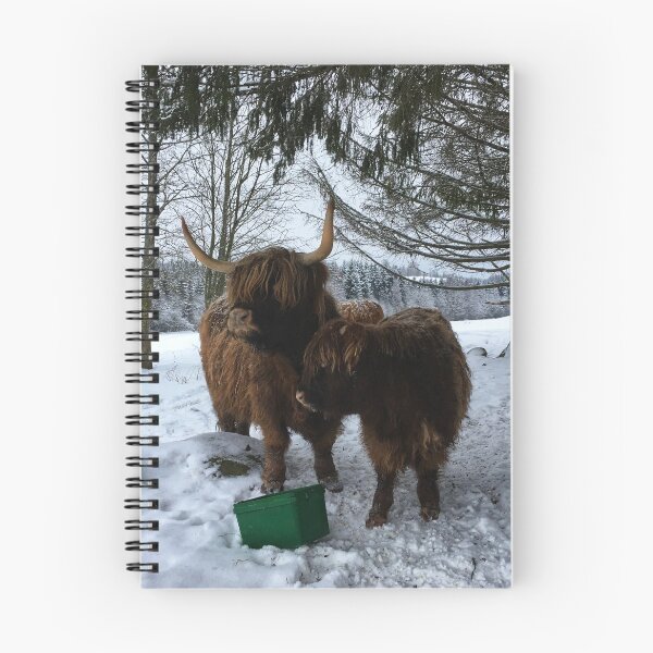 Item preview, Scottish Highland Cattle Cow and Calf 1648 designed and sold by SaarelaHighland.
