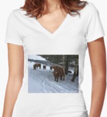 Scottish Highland Cattle Cows and Calves 1649 Women's Fitted V-Neck T-Shirt