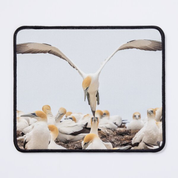 Item preview, Gannet designed and sold by leighb74.