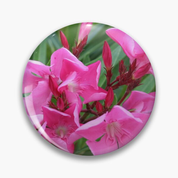 Item preview, Pink Oleander Natures Summer Bouquet designed and sold by taiche.